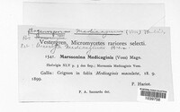 Image of Marssonina medicaginis